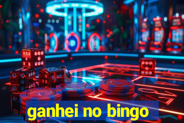 ganhei no bingo