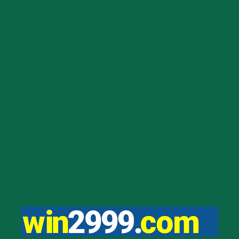 win2999.com