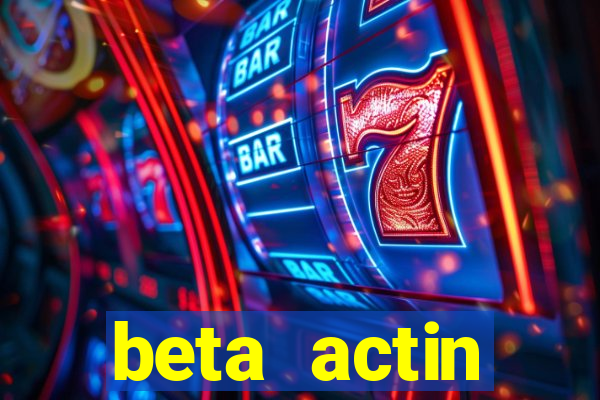 beta actin molecular weight