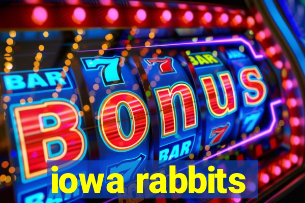 iowa rabbits