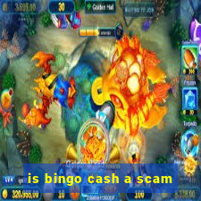 is bingo cash a scam