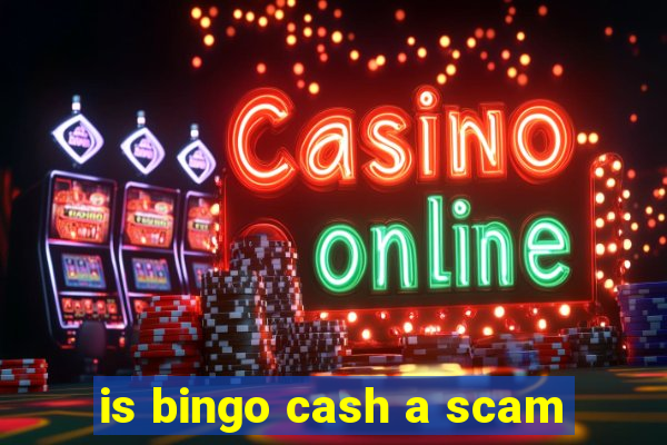 is bingo cash a scam