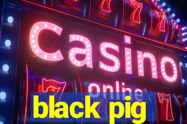 black pig