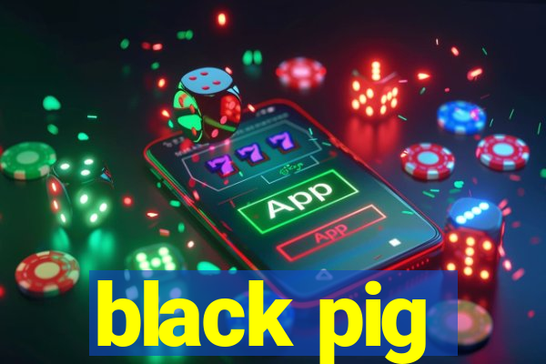 black pig