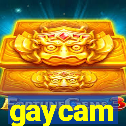 gaycam