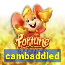 cambaddied