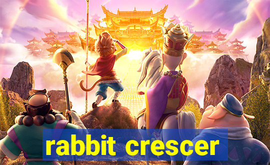 rabbit crescer