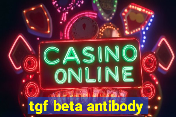 tgf beta antibody