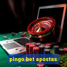 pingo bet apostas