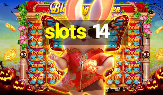 slots 14