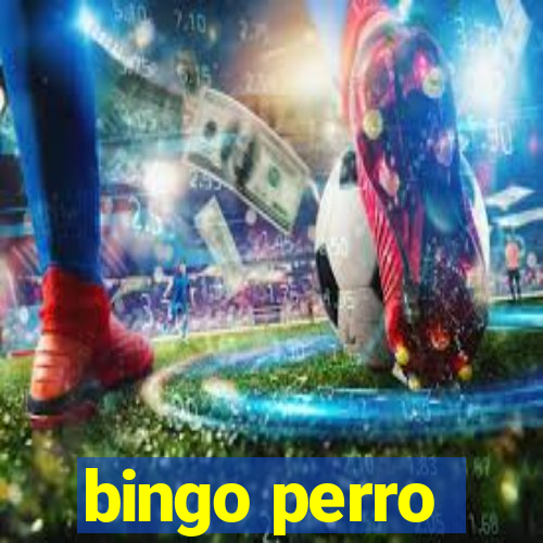 bingo perro