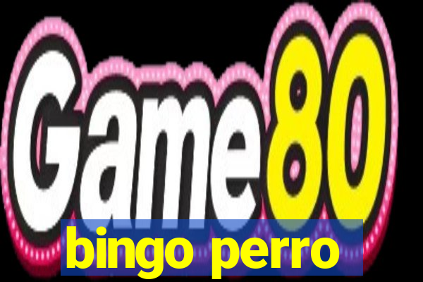 bingo perro