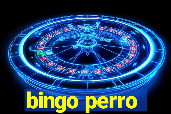 bingo perro