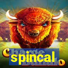 spincal