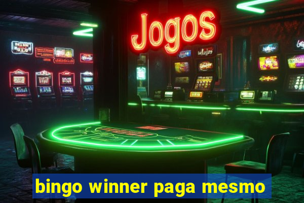 bingo winner paga mesmo