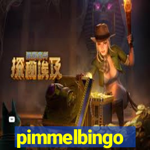 pimmelbingo