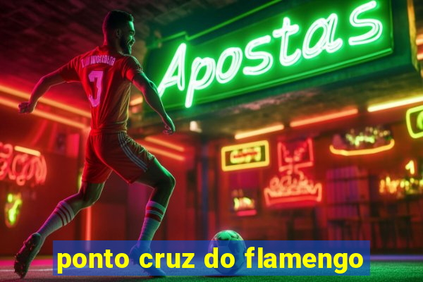 ponto cruz do flamengo