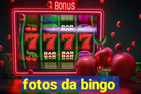 fotos da bingo