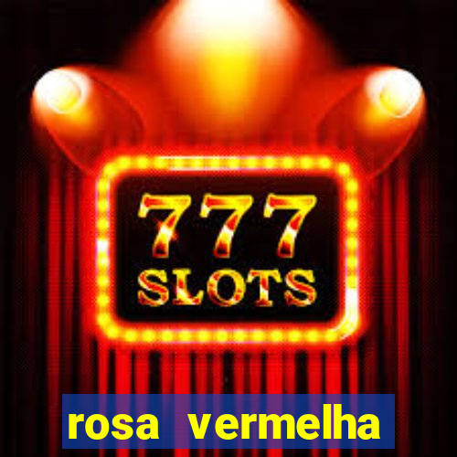 rosa vermelha (letra e cifra)