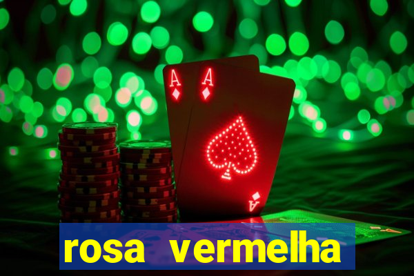 rosa vermelha (letra e cifra)