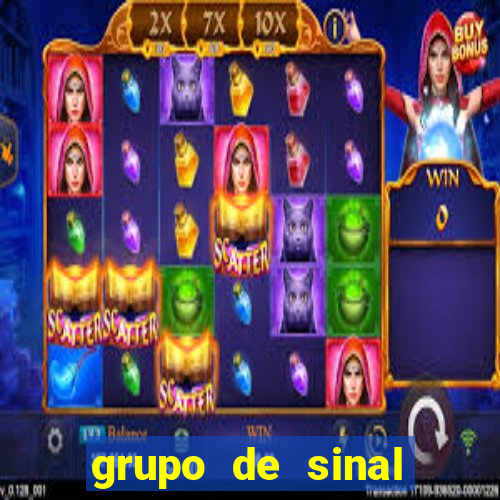 grupo de sinal fortune tiger