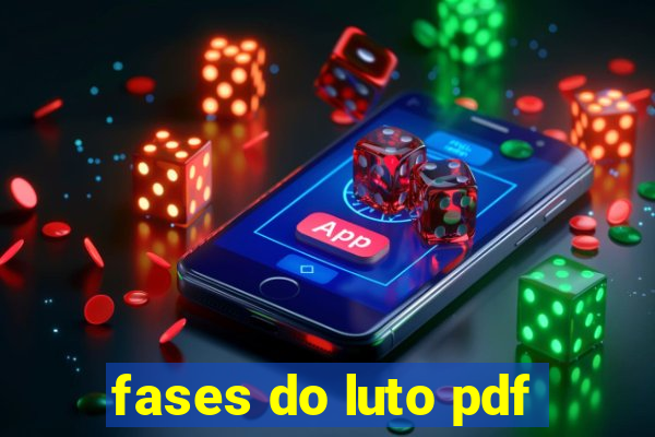 fases do luto pdf