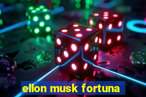 ellon musk fortuna