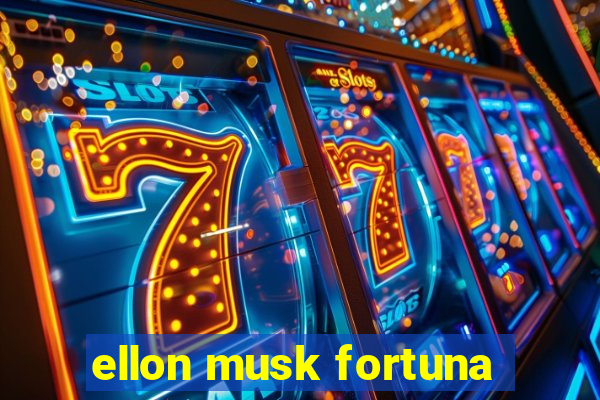 ellon musk fortuna