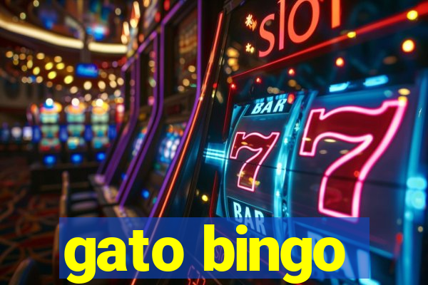 gato bingo