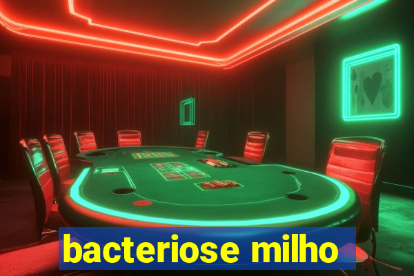 bacteriose milho