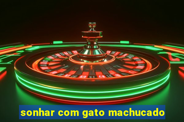 sonhar com gato machucado