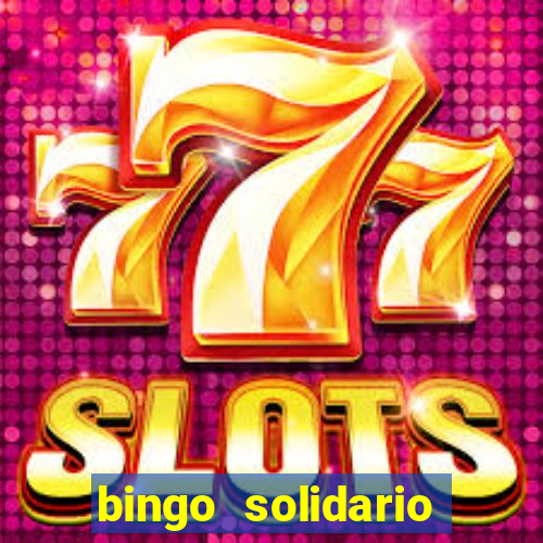 bingo solidario como organizar