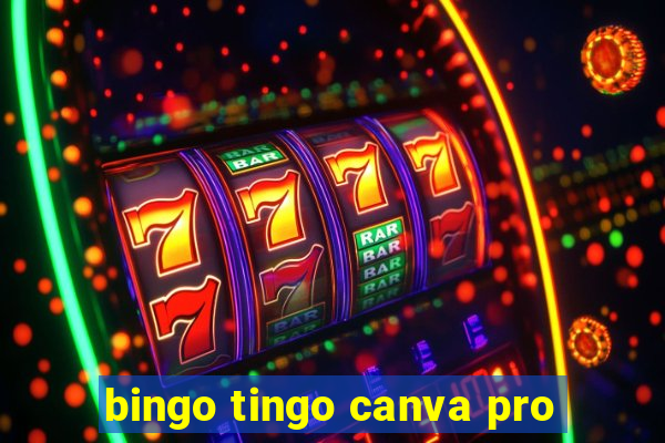 bingo tingo canva pro