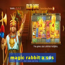 magic rabbit a sós