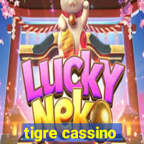 tigre cassino