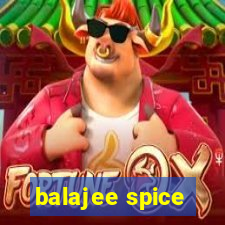 balajee spice