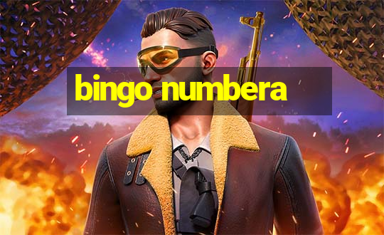 bingo numbera