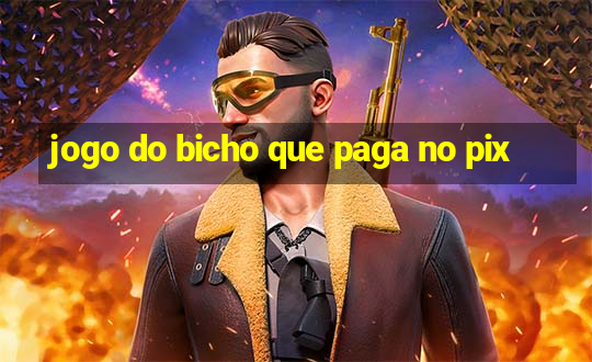 jogo do bicho que paga no pix