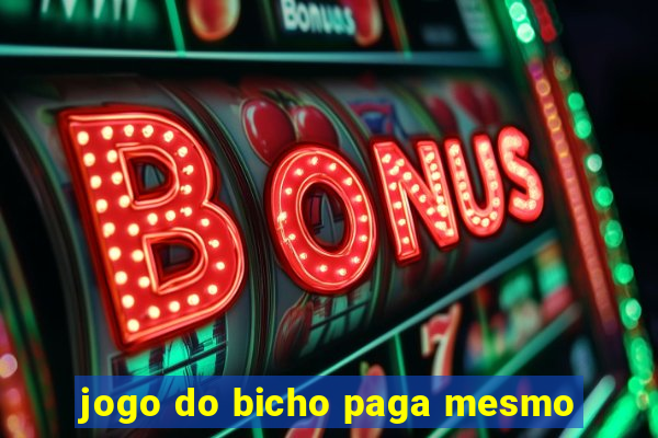 jogo do bicho paga mesmo