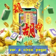 ver o circo pegar fogo significado