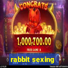 rabbit sexing