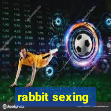 rabbit sexing