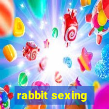 rabbit sexing