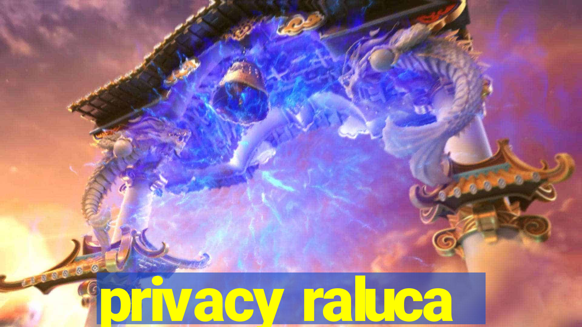 privacy raluca