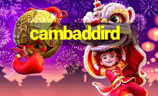 cambaddird