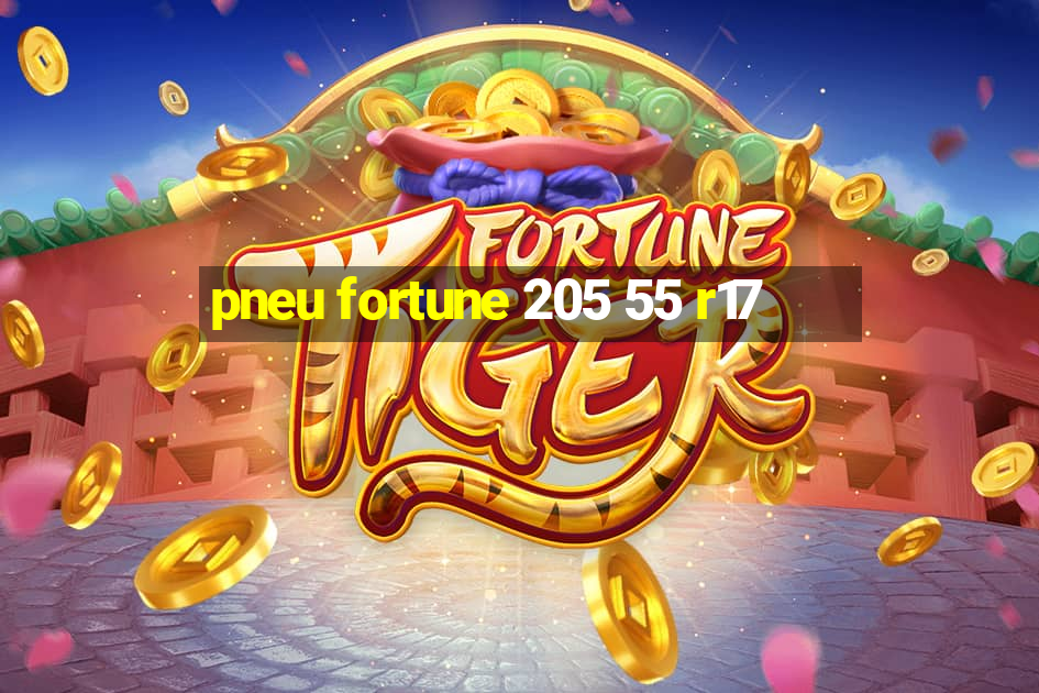 pneu fortune 205 55 r17