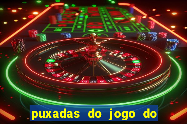 puxadas do jogo do bicho sueli