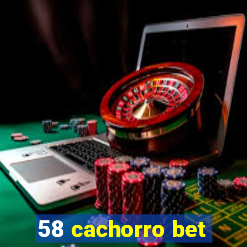 58 cachorro bet