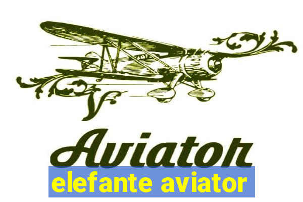 elefante aviator