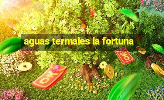 aguas termales la fortuna